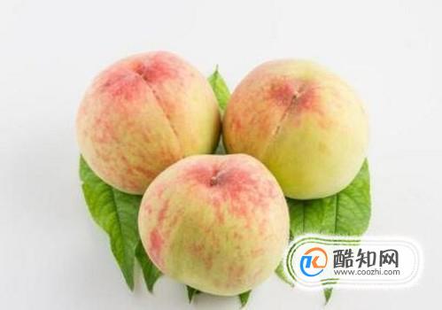 ��Щ�˲��ܳ���������